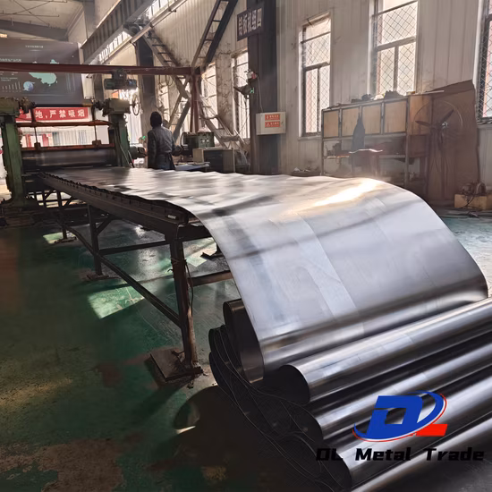 カスタマイズされた 48V38ah リード